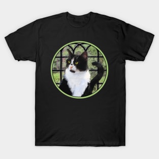 Tuxedo Cat in Window T-Shirt